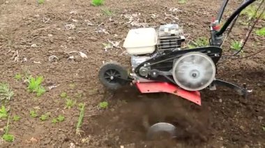 Bir otomobil yetiştiricisi tarafından bir bahçenin yetiştirilmesi. Toprağı sürüyorum. İnmeden önce gevşiyorum. Çiftçilik ve tarım. Toprağı işlemek.