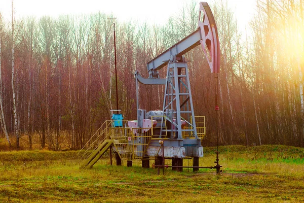 Oil rocking chair. Oil production in Russia, Republic of Bashkortostan. Industrial landscape. Autumn