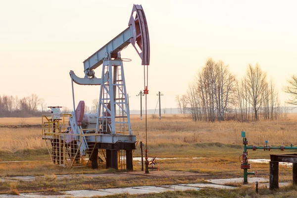 Oil rocking chair. Oil production in Russia, Republic of Bashkortostan. Industrial landscape. Autumn