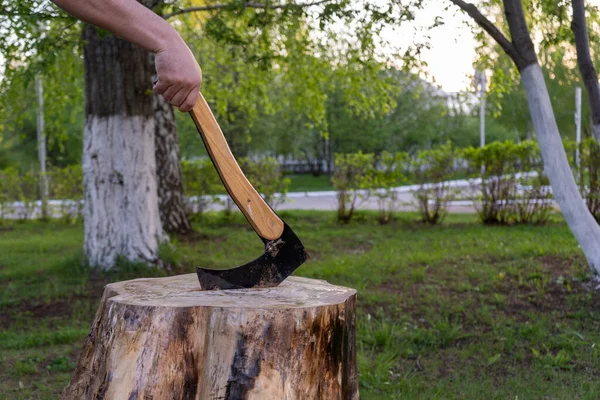 ax with mens hand stuck in a birch stub