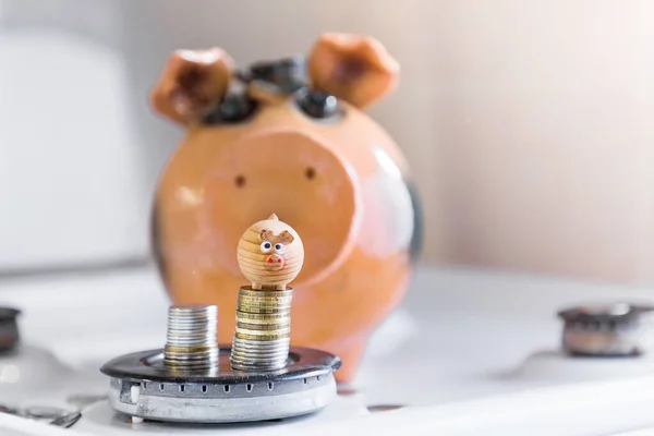 The concept of insurance and savings .two toy pigs on a background of coins and a gas burner. — Stock Image Concept Insurance Savings Two Toy Pigs Background Coins Gas Burner Stock Photo