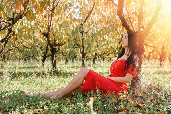 Gehen Sie Den Garten Eine Brünette Frau Rotem Kleid Sitzt — Stockfoto