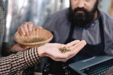 Bira bira dansta kalitesini kontrol brewer sakallı