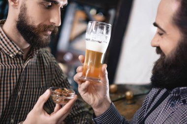 İki profesyonel bira şerbetçiotu bira yapmak için seçme