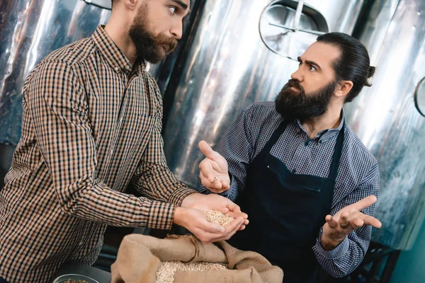 Twee Bebaarde Mannen Kwaliteitscontrole Van Tarwe Brouwerij — Stockfoto