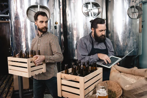 Hombre Barbudo Con Caja Cerveza Mirando Como Cervecero Adulto Escribiendo —  Fotos de Stock