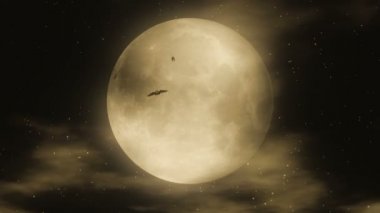 Saldırı 2 yarasa / / 1080 p Halloween Parti Video arka plan döngü. Dolunay önünde saldıran yarasalar. Bir mükemmel döngü Halloween korku görsel - kulüpleri ve partiler için harika. Bu daha gelişmiş 2013 sürümü var.