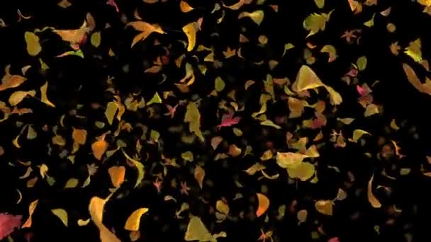 Herfstbladeren Zachtjes Vallen Zwarte Achtergrond — Stockvideo