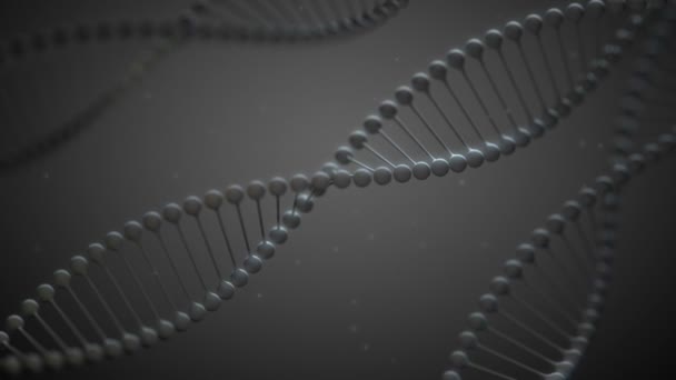 Abstrakta Dna Spiraler Rotera Gråaktig Miljö Double Helix Stil — Stockvideo