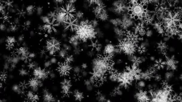 详细观赏雪视频背景圈 一个伟大的圣诞和冬季视频循环显示大量的高详细的闪闪发光的程式化雪花 — 图库视频影像