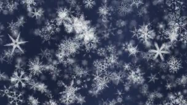 Szczegółowe Ozdobnych Śniegu Tła Wideo Pętli Wielki Boże Narodzenie Zima — Wideo stockowe