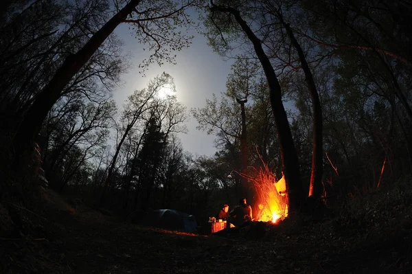 bright campfire at night time,