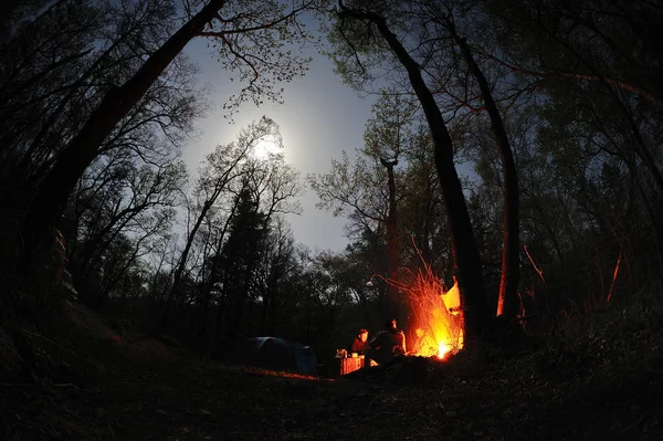 Gece zaman parlak kamp ateşi, Telifsiz Stok Imajlar