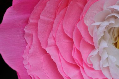 Kağıt pisti pion yakın çekim