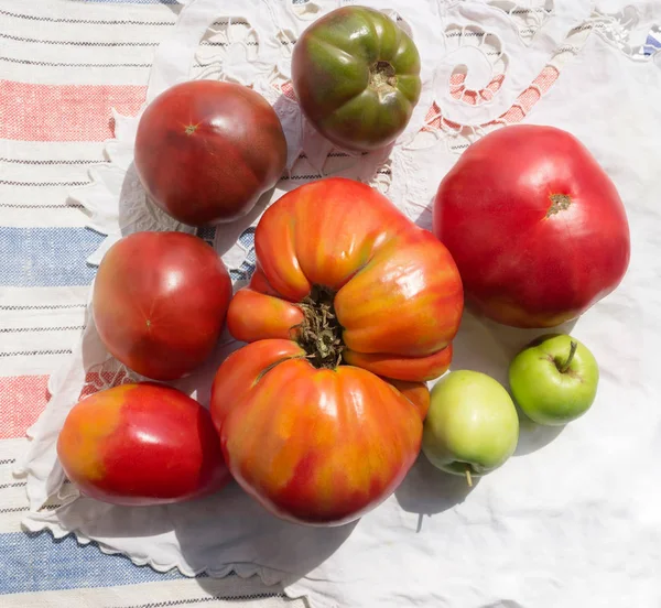 Ruggig heirloom tomater — Stockfoto