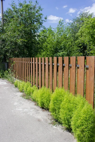 Hnědý dřevěný plot s zelené keře keře v krajině — Stock fotografie