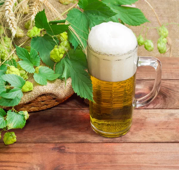 Copo de cerveja, ramos de lúpulo, cevada e espigas de trigo — Fotografia de Stock