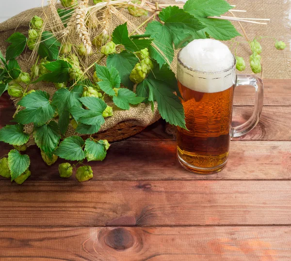 Glas Bier, Hopfen-, Gersten- und Weizenzweige — Stockfoto