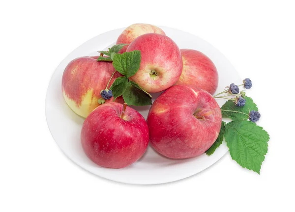 Mehrere rote Äpfel mit Brombeere auf Teller auf hellem Hintergrund — Stockfoto