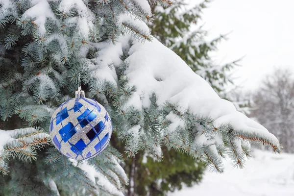Ветви синей ели, покрытые снегом с рождественским орнаментом — стоковое фото