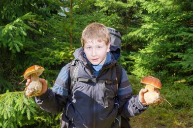 Ladin bir ormandaki iki çörek ile genç turizm