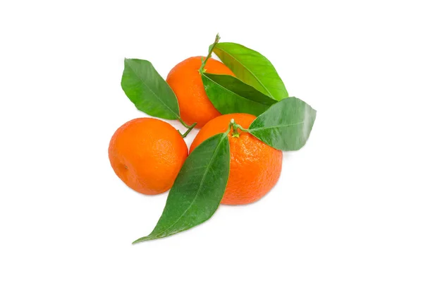 Mehrere Mandarinenorangen mit Zweigen und Blättern auf hellem Hintergrund — Stockfoto