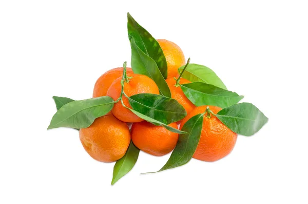 Haufen Mandarinen mit Zweigen und Blättern — Stockfoto