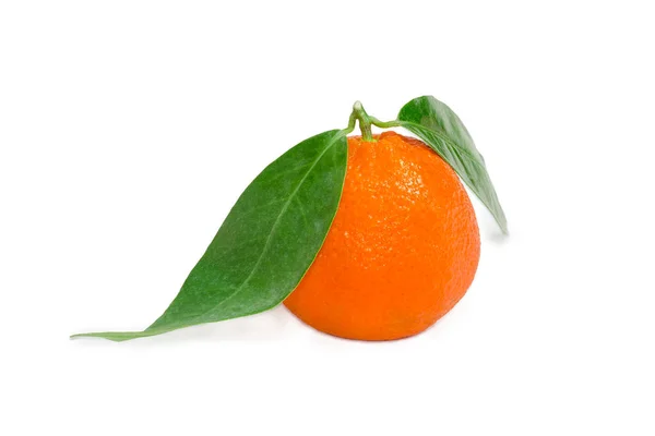 Один мандаринский оранжевый с листьями на светлом фоне — стоковое фото