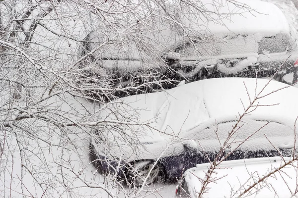 Parkoló autók keresztül a fák ágai alatt havazás — Stock Fotó