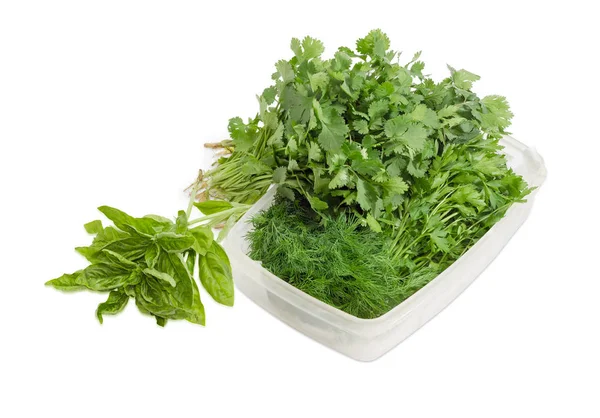 Bunches of parsley, dill, green basil and coriander — Stock Photo, Image