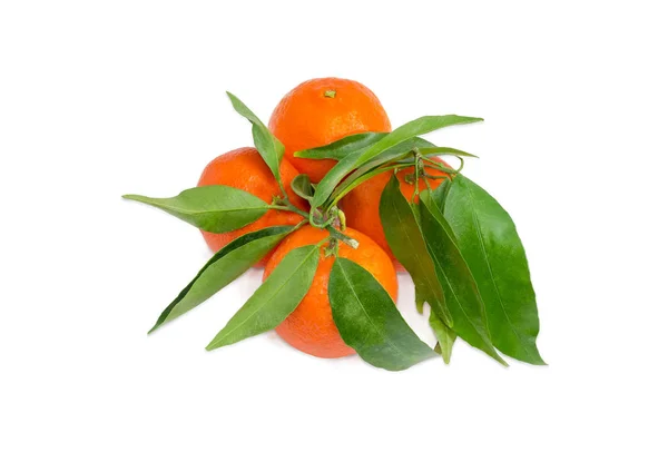 Several mandarin oranges with twigs and leaves on light background — Stock Photo, Image