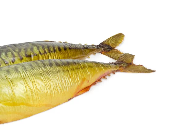 尾部分的两个熏大西洋鲭鱼 — 图库照片