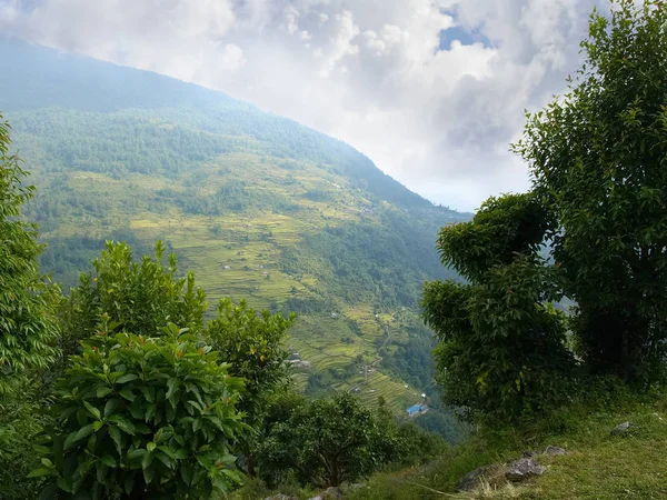 Vallée de montagne avec village et champs en terrasses dans l'Himalaya — Photo