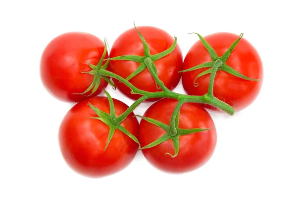 Cabang tomat merah matang closeup — Stok Foto