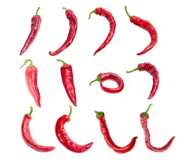 Top view of the several red peppers chili — Stock Photo, Image