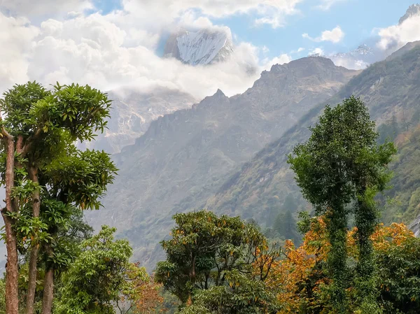 Pico de montaña en parte en las nubes con árboles en primer plano — Foto de Stock