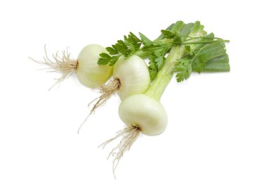 Üç genç kuru soğan dal maydanoz ile 
