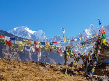Dağ silsilesi dua bayrakları Himalayalar arka plan üzerinde
