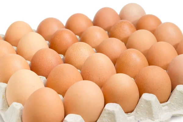 Коричневые яйца в подносе для яиц крупным планом — стоковое фото