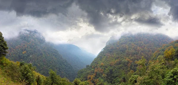 Molnen över ravinen med sluttningar täckta av skog — Stockfoto