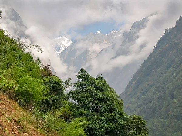Bergstoppar delvis i moln med träden i förgrunden — Stockfoto