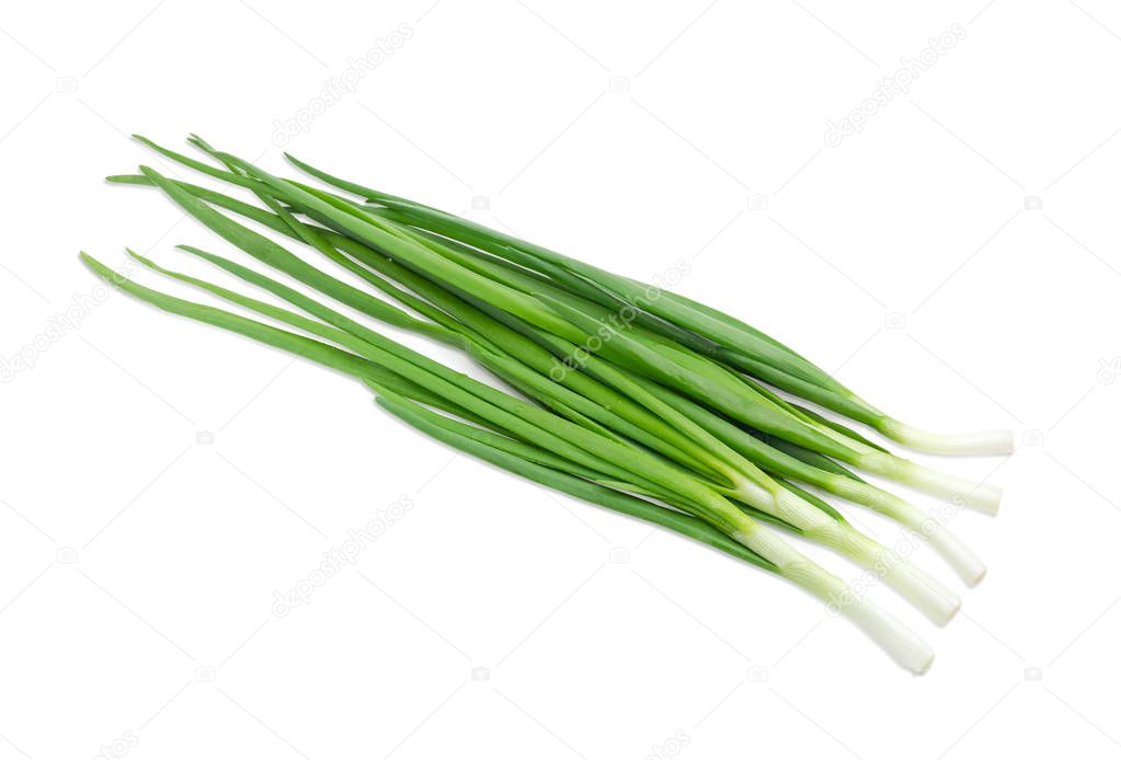 Green onion on a light background closeup