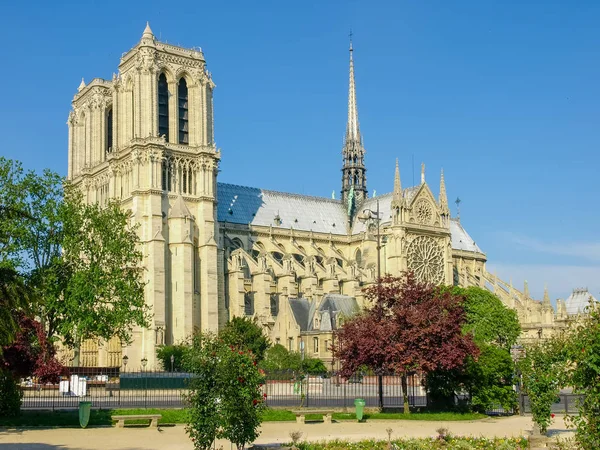Южный фасад собора Парижской Богоматери — стоковое фото
