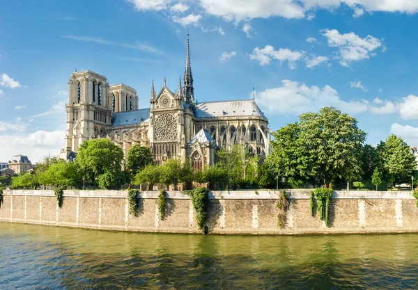 Fachada sur de la Notre-Dame de Paris desde el Sena — Foto de Stock