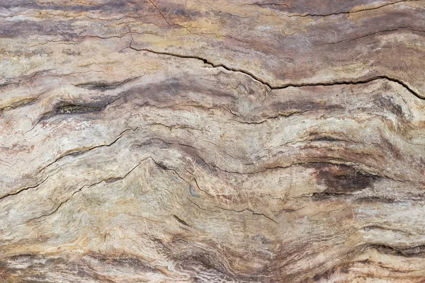 Latar belakang batang pohon tua yang retak tanpa kulit — Stok Foto