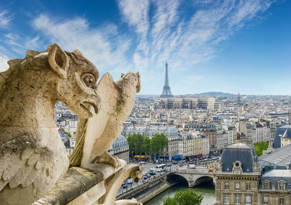 Vista de la parte occidental de París desde la Catedral de Notre-Dame — Foto de Stock