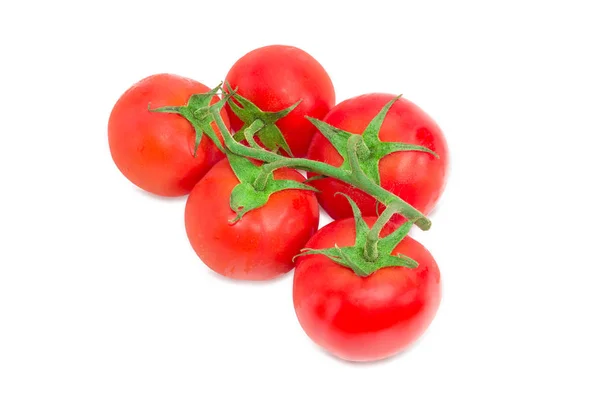 Zweig der reifen roten Tomaten Nahaufnahme — Stockfoto