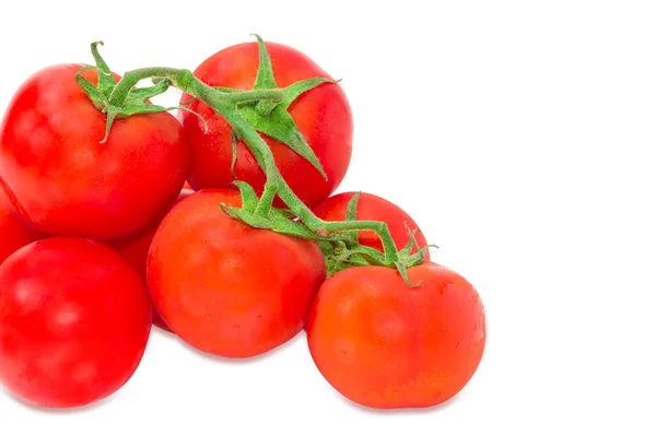 Pilha de tomates vermelhos maduros nos ramos closeup — Fotografia de Stock