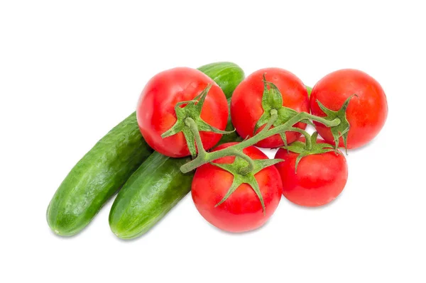 Två gurkor och gren av de mogna röda tomaterna — Stockfoto