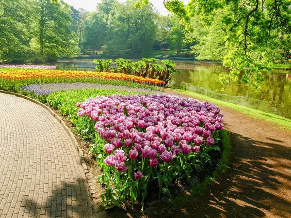 Tulips and other flowers on the shore of the reservoir — Stock Photo, Image